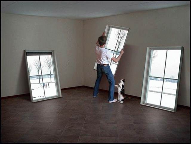 640x481, 45 Kb / окна, ремонт, кот