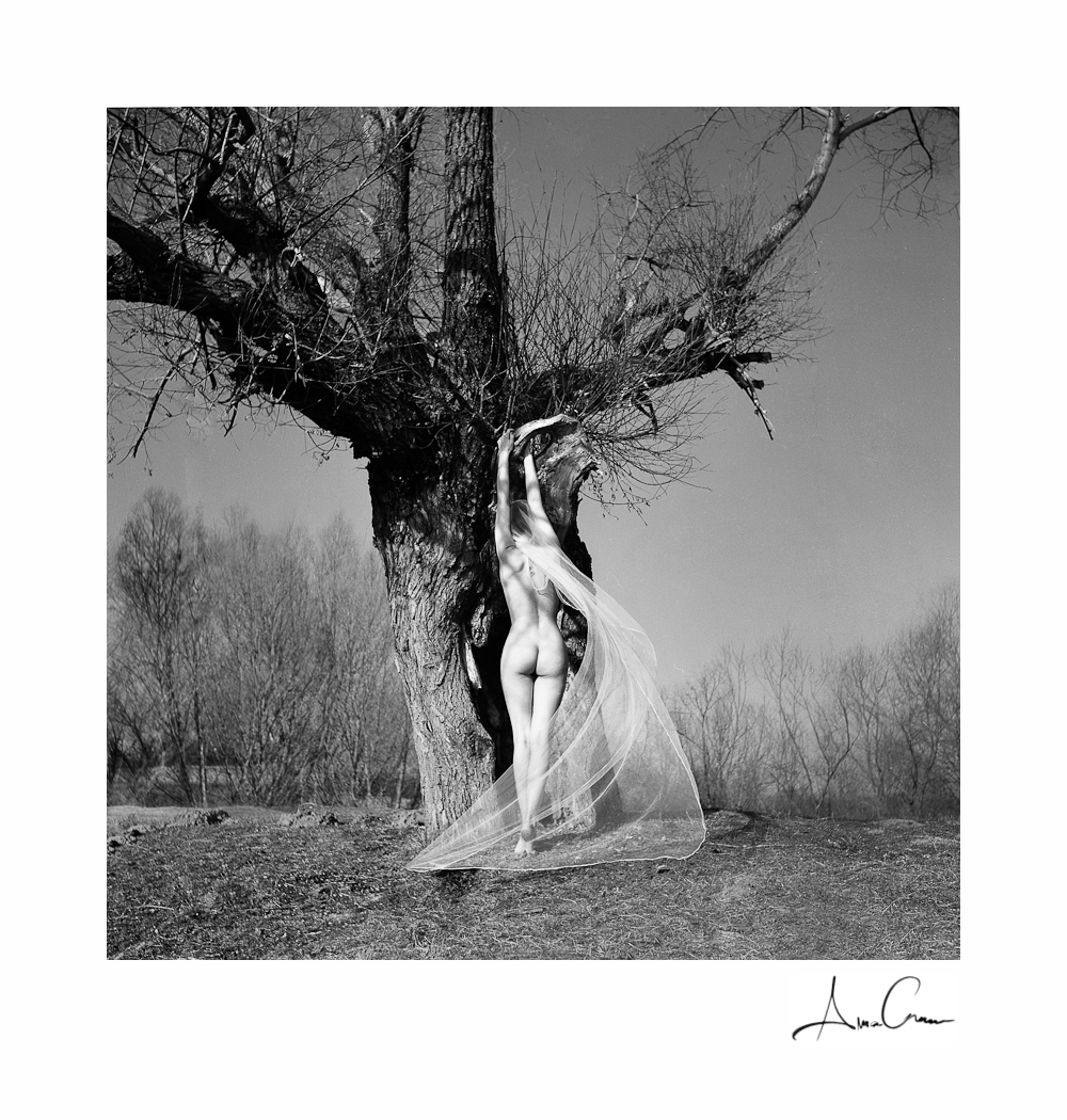 1000x1050, 592 Kb / ч/б, дерево, фата, голая