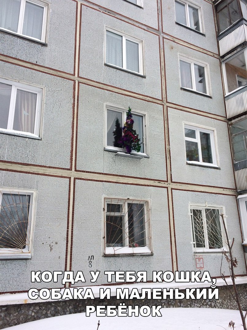 806x1075, 298 Kb / елка, панелька, кошка, собака, ребенок