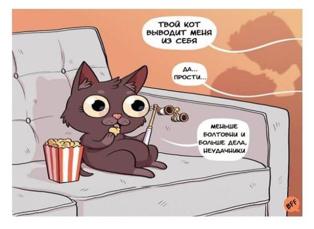 640x466, 40 Kb / кот, пара, секс, бинокль, попкорн, неудачники