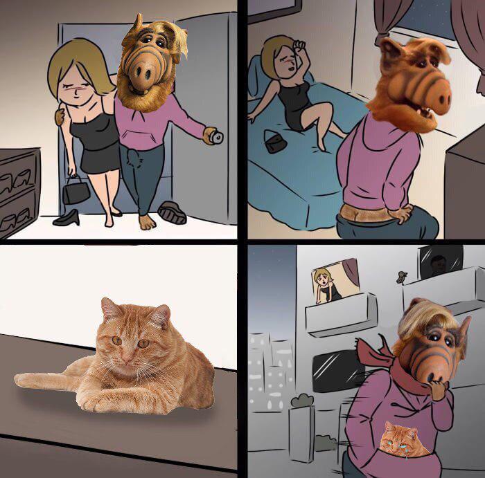 700x691, 69 Kb / альф, кот, свидание