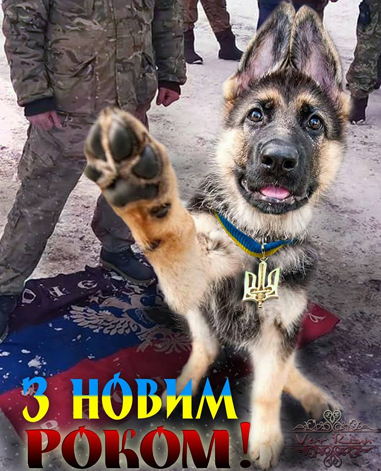 777x960, 124 Kb / з новим роком, с НГ, поздравление, овчарка, трезубец, политота