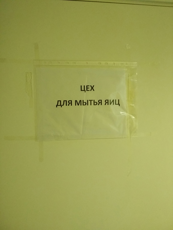 700x933, 180 Kb / объявление, цех, яйца, мытьё