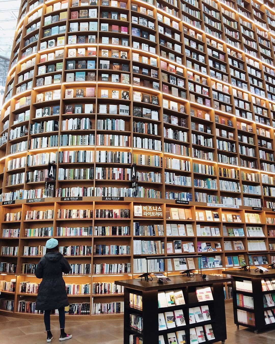 1080x1350, 331 Kb / библиотек, книги, полки, стеллаж