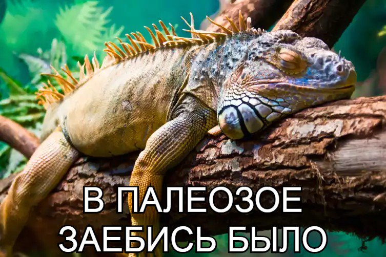 753x502, 104 Kb / палеозой, рептилия, заебись, совкодрочеры