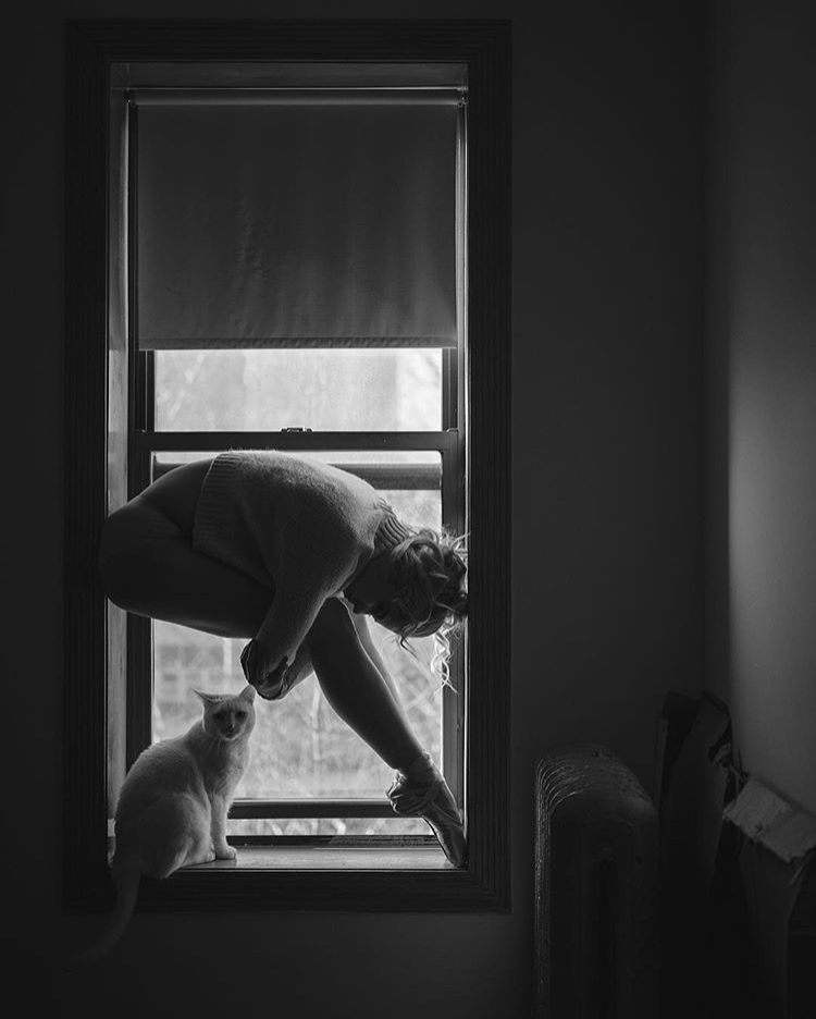 750x936, 167 Kb / окно, подоконник, балерина, кот, батарея, ч/б