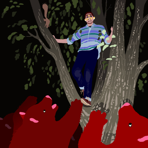 500x500, 384 Kb / гиф, медведи, белка, дерево