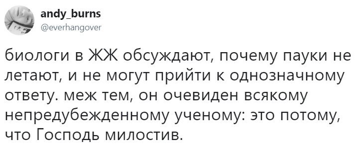 723x290, 40 Kb / паук, летают, твиттер, жж, милостив, арахнофобия