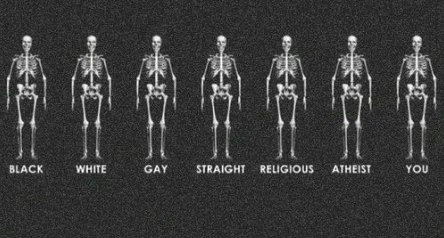 1492x802, 539 Kb / скелеты, различие, ч/б