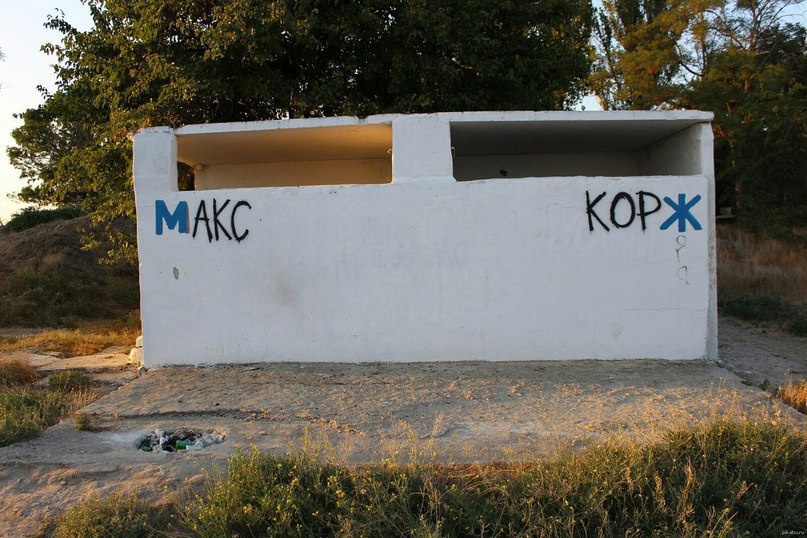 807x538, 129 Kb / туалет, макс, корж