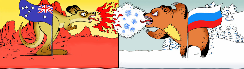 980x280, 352 Kb / кенгуру, медведь