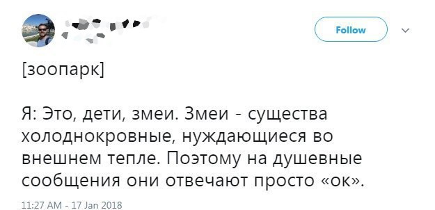 625x302, 30 Kb / змеи, ок