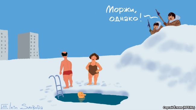 650x366, 25 Kb / моржи, чукчи, купание, прорубь, охота, елкин