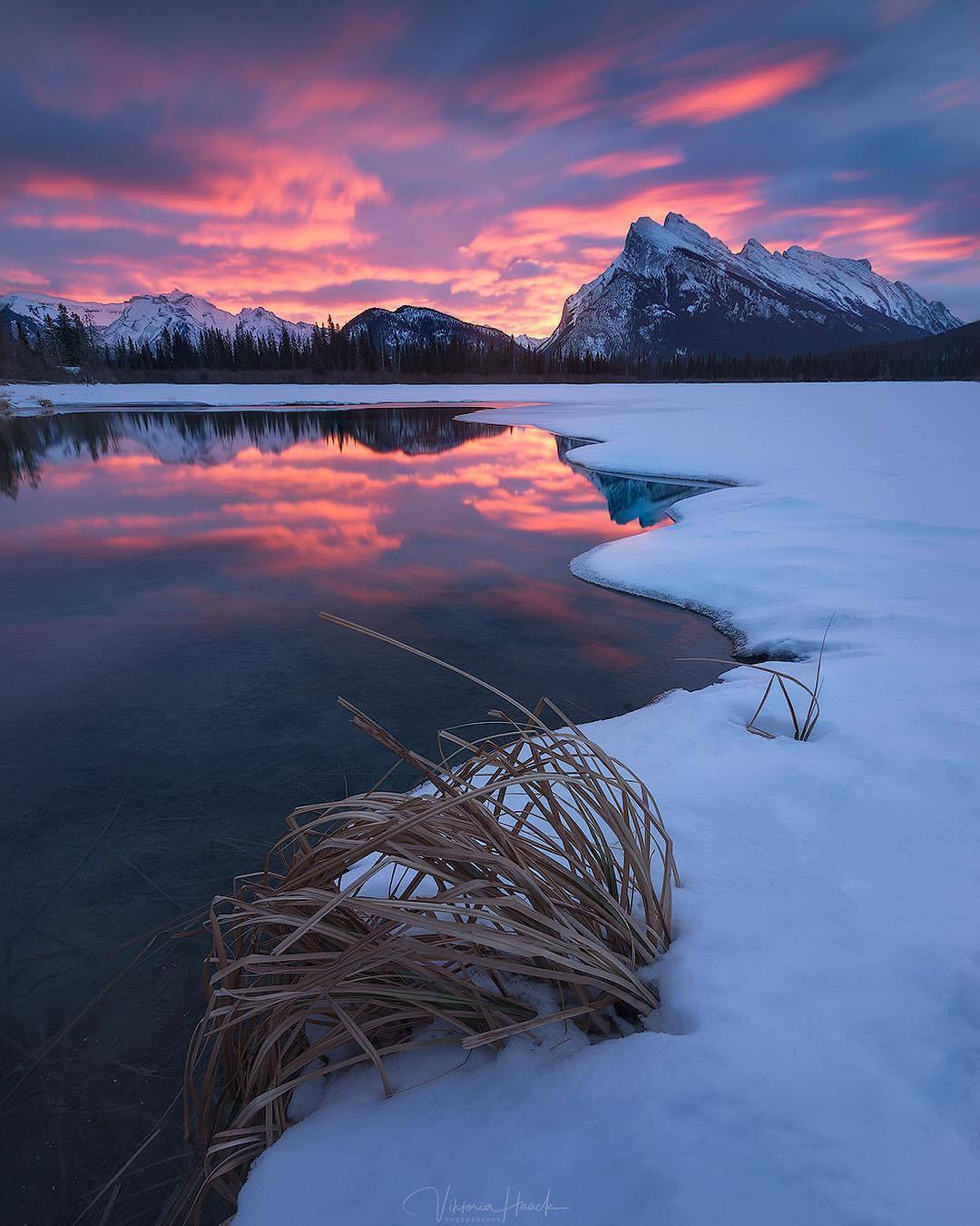 1080x1350, 144 Kb / зима, горы, водоем, осока, снег