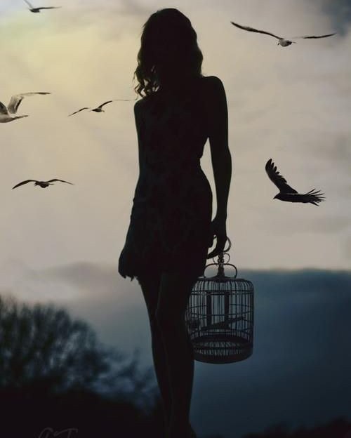 500x624, 23 Kb / Девушка, чайки, силуэт, клетка