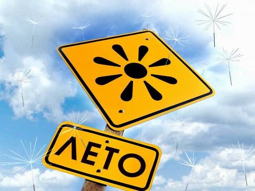 500x375, 35 Kb / лето