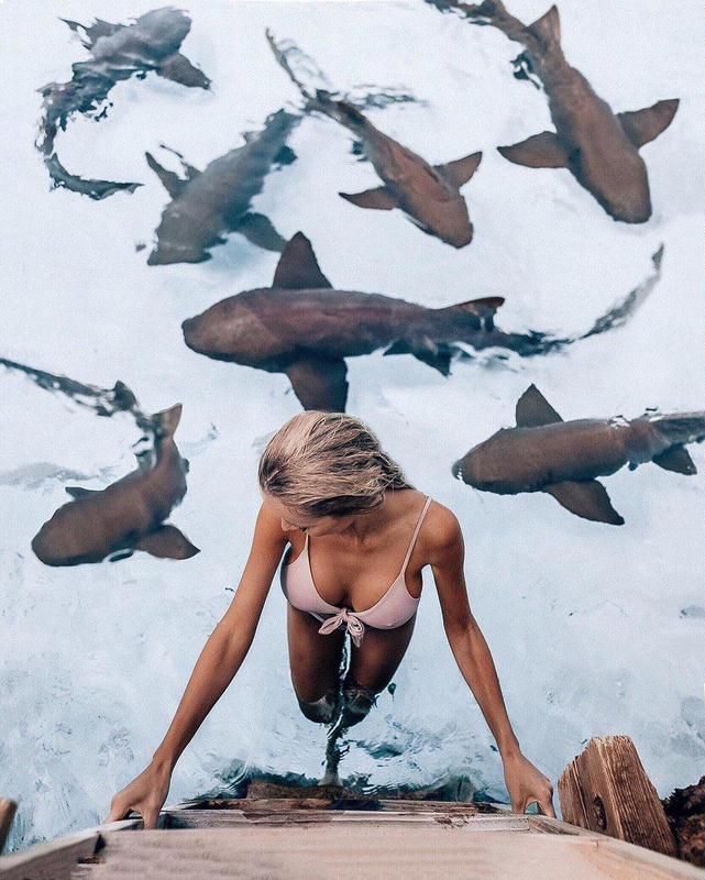 641x800, 84 Kb / девка, лестница, акулы