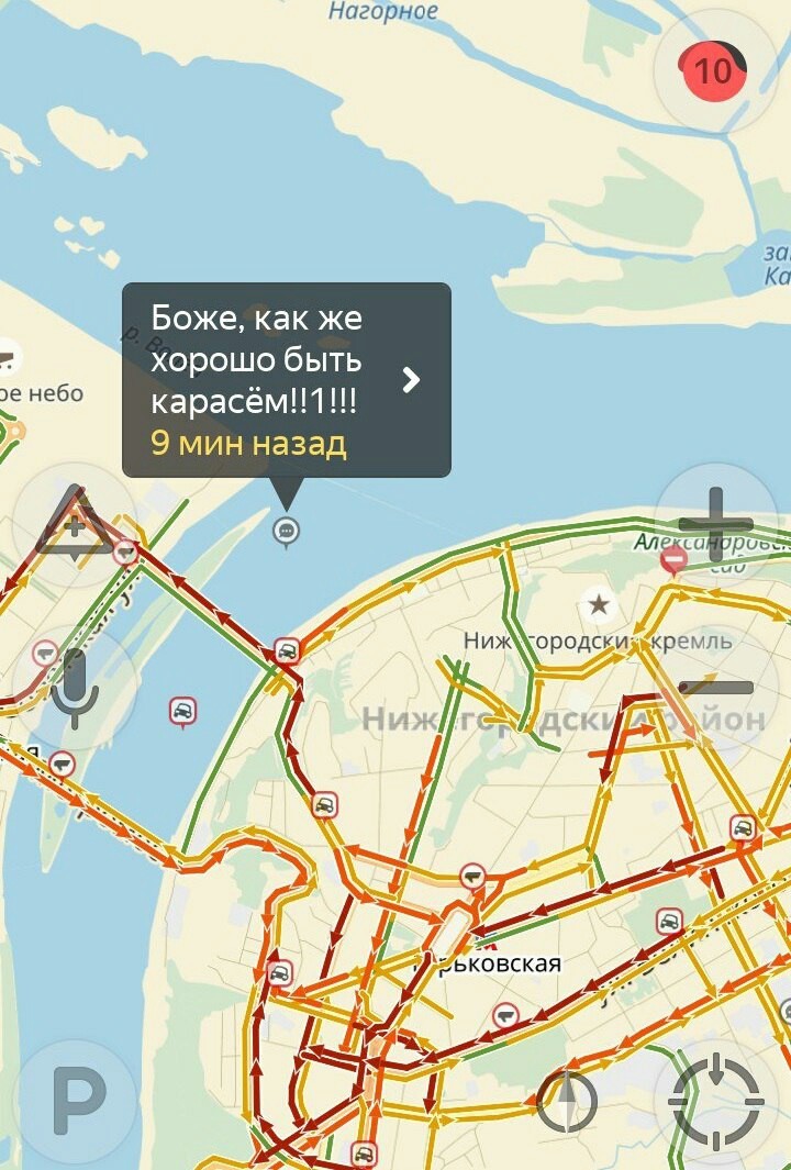 720x1065, 177 Kb / яндекс.пробки, карась