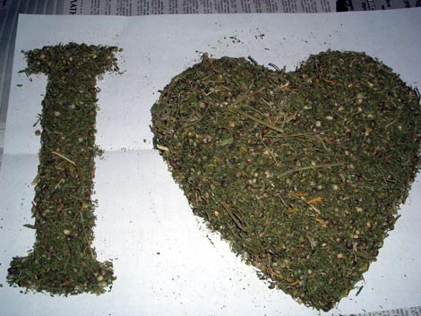 500x306, 39 Kb / любовь, трава