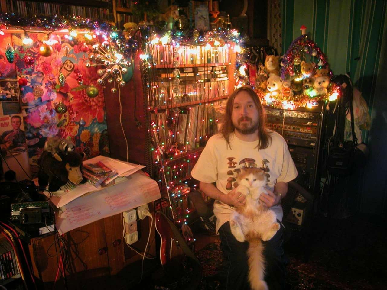 1280x960, 149 Kb / летов, кот, грибы, игрушки, гирлянда