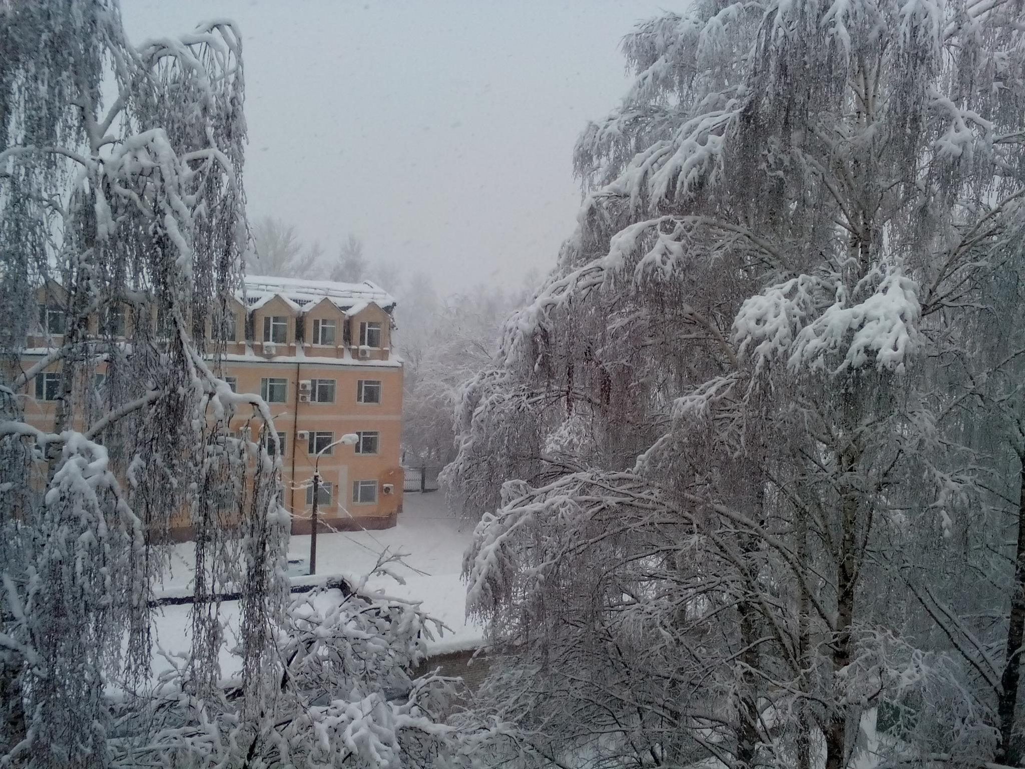 2048x1536, 527 Kb / снег, дом, деревья