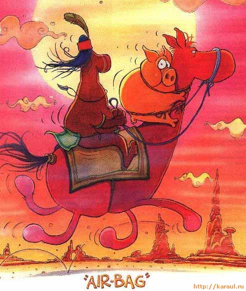 491x581, 53 Kb / air-bag