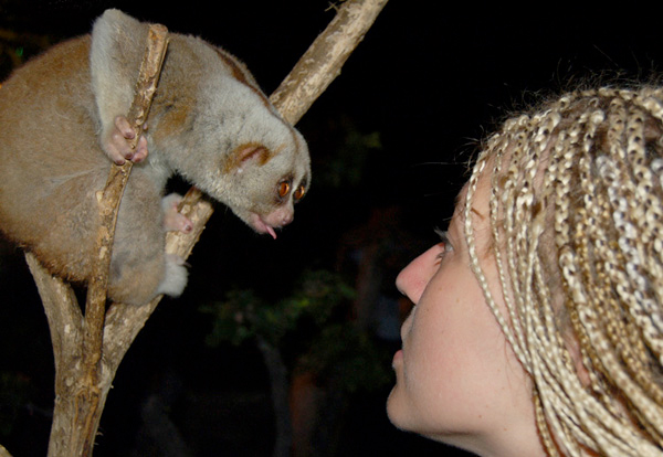 600x414, 140 Kb / упырь, засада, последний кадр