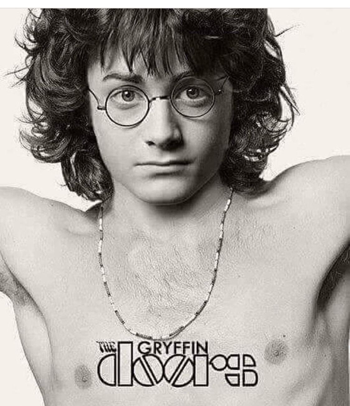 1125x1303, 173 Kb / Doors, Гарри Поттер, Гриффиндор