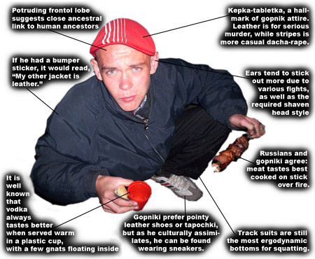 450x370, 64 Kb / гопник, анатомия, статья, газета