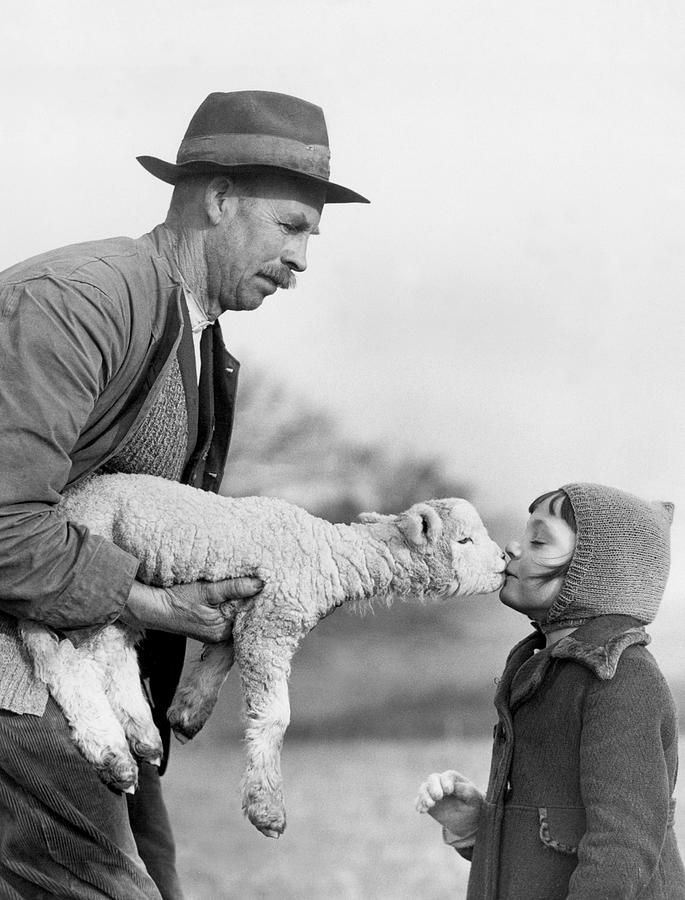 685x900, 83 Kb / мужчина, барашек, девочка, ч/б