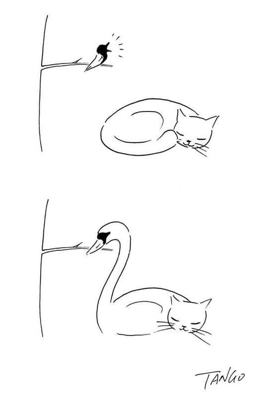 528x807, 14 Kb / Птица, дерево, лебедь, кошка