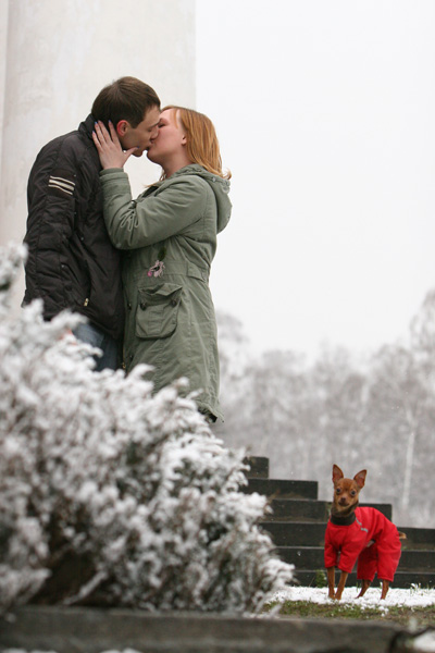 400x600, 100 Kb / поцелуй, собака