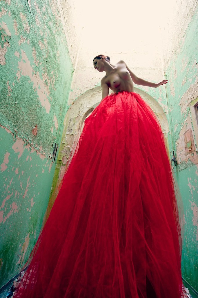 683x1024, 129 Kb / топлесс, платье, красное, юбка, ракурс, краска
