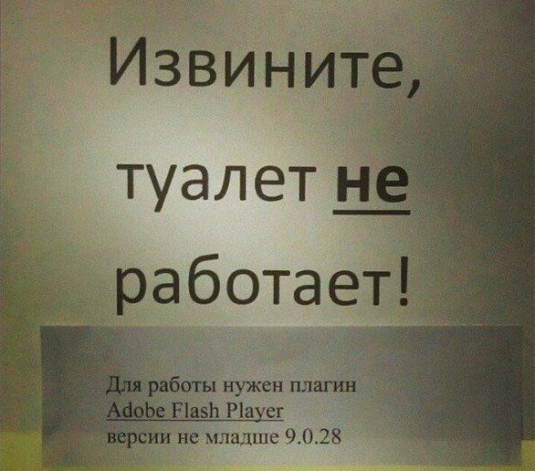 586x516, 64 Kb / туалет, флеш, плагин