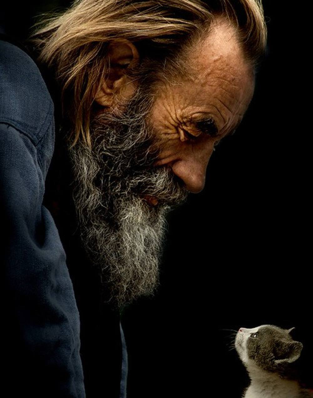 1000x1274, 103 Kb / мужчина, борода, котенок