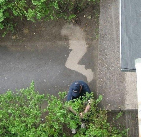 454x441, 365 Kb / пробуждение, след