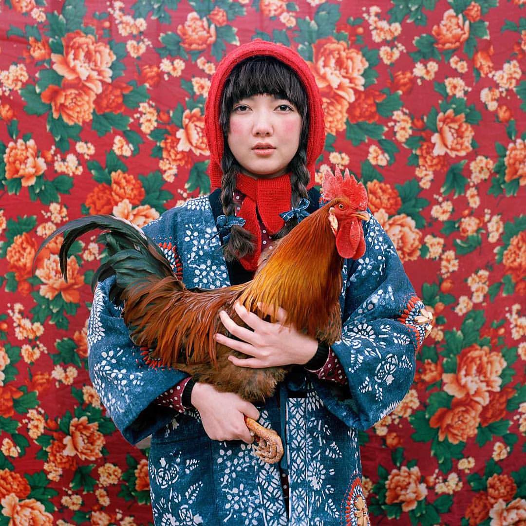 1080x1080, 177 Kb / женщина, петух, цветы, косички, пальто