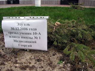 320x240, 84 Kb / ель, табличка