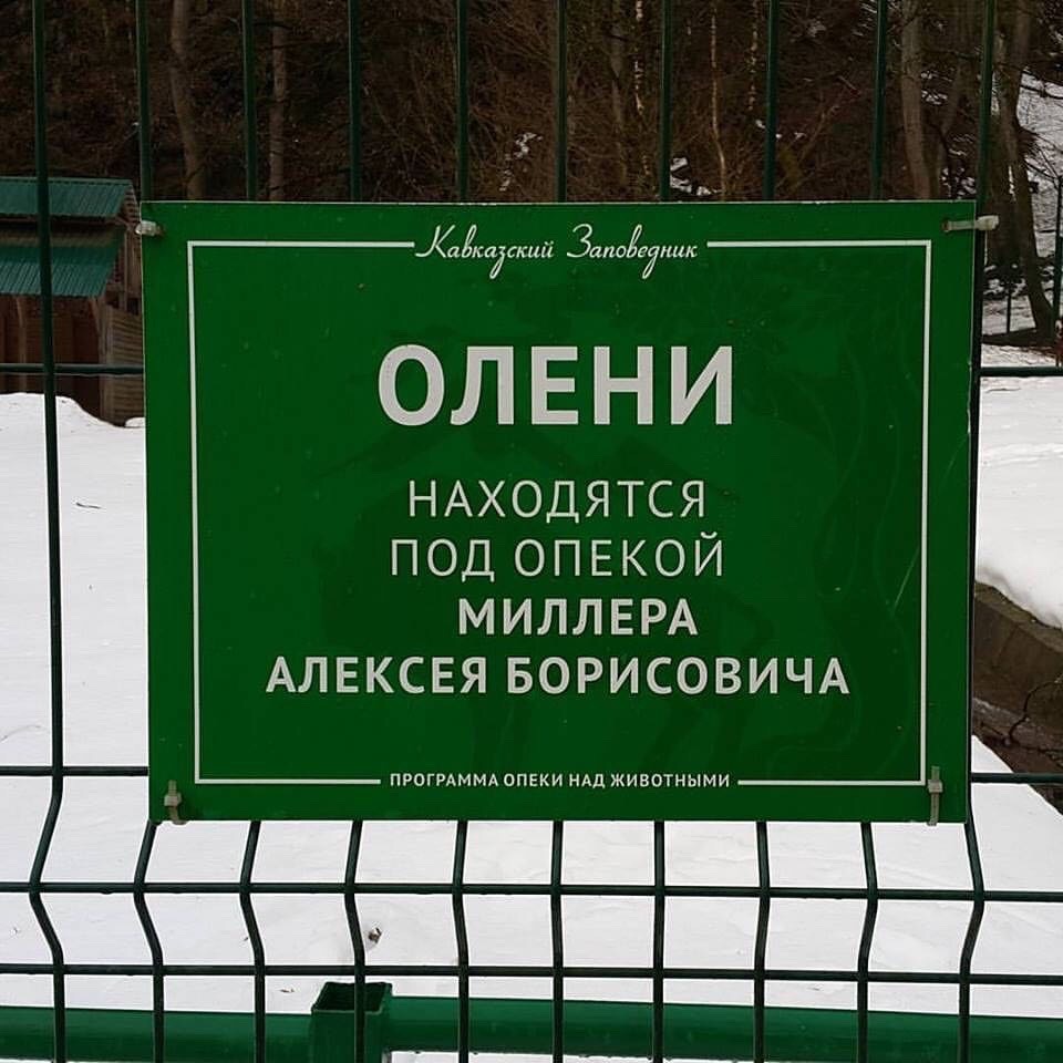 960x960, 133 Kb / олени, миллер, опека