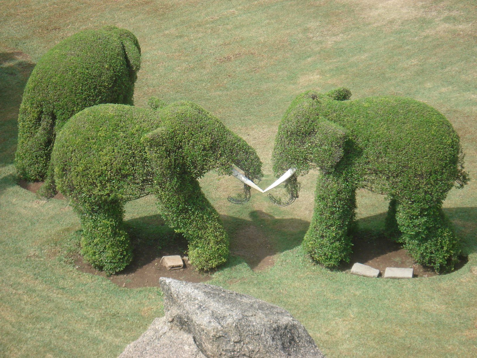 1632x1224, 485 Kb / слоны, скульптура, кусты