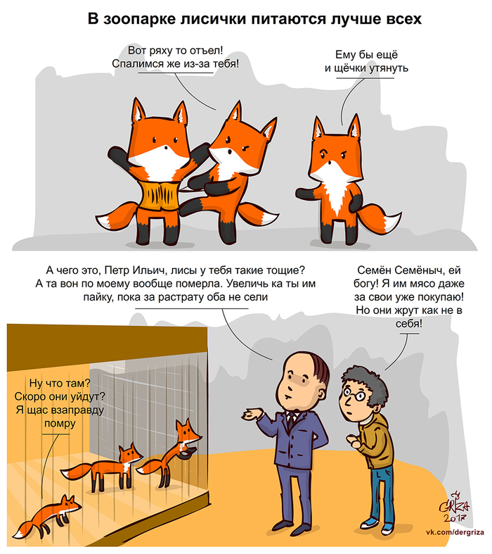 700x787, 354 Kb / зоопарк, лисички, пайка, мясо