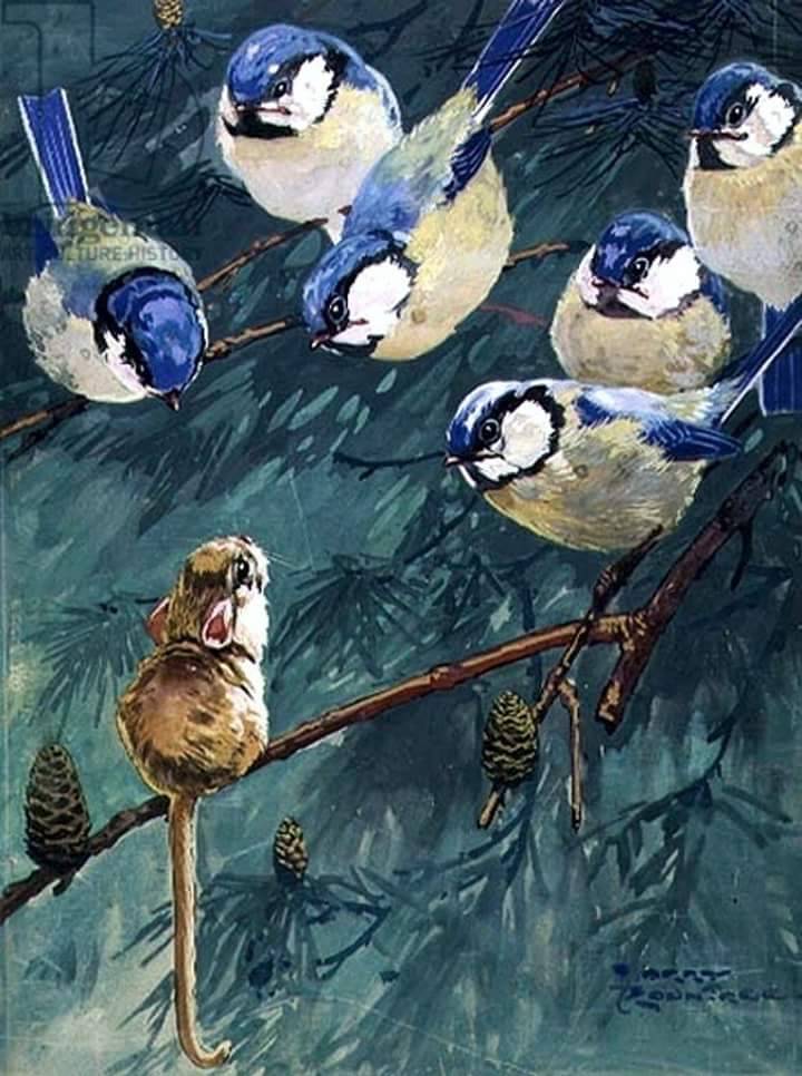 720x966, 94 Kb / синицы, мышь, ветка