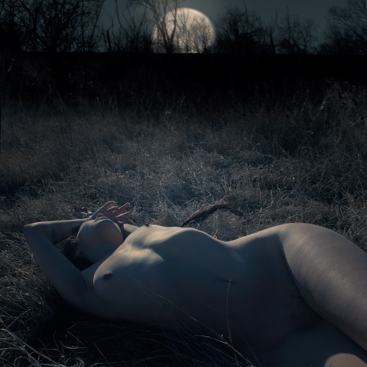 1200x1200, 300 Kb / женщина, ночь, полнолуние, трава, кусты