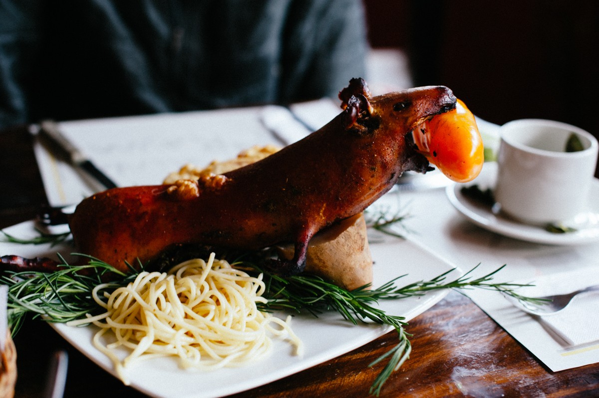 1200x798, 198 Kb / крыса, паста, зелень, блюдо, помидорка