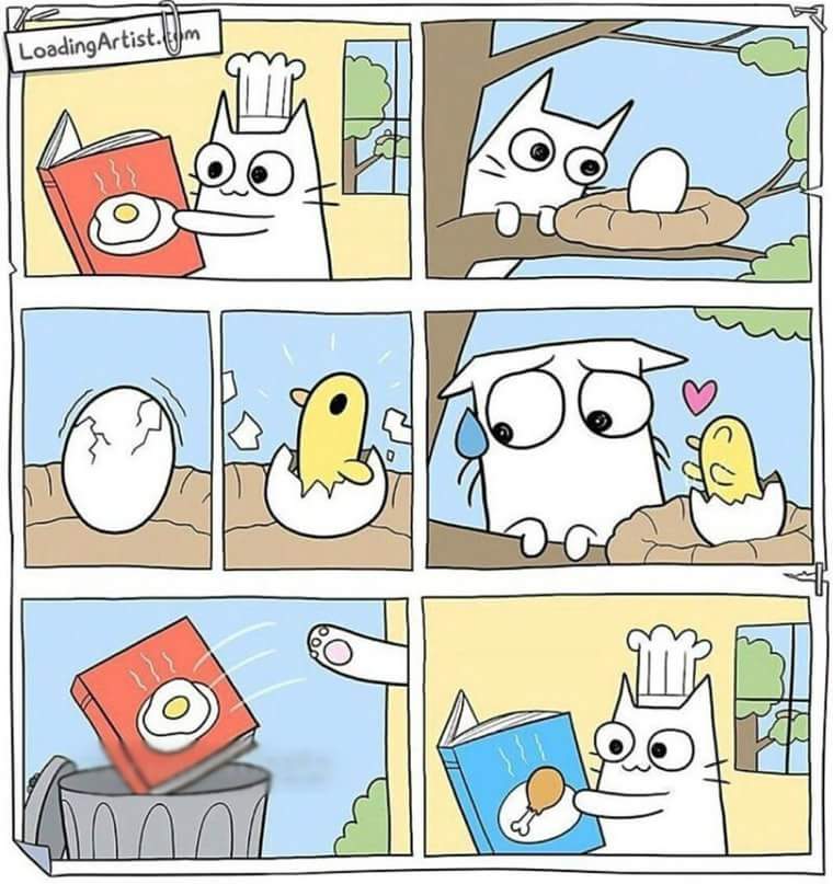 760x807, 72 Kb / Яйцо, повар, гнездо, книга, кот