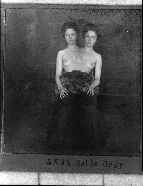 494x640, 43 Kb / грей, ч/б, сиамские, сиськи