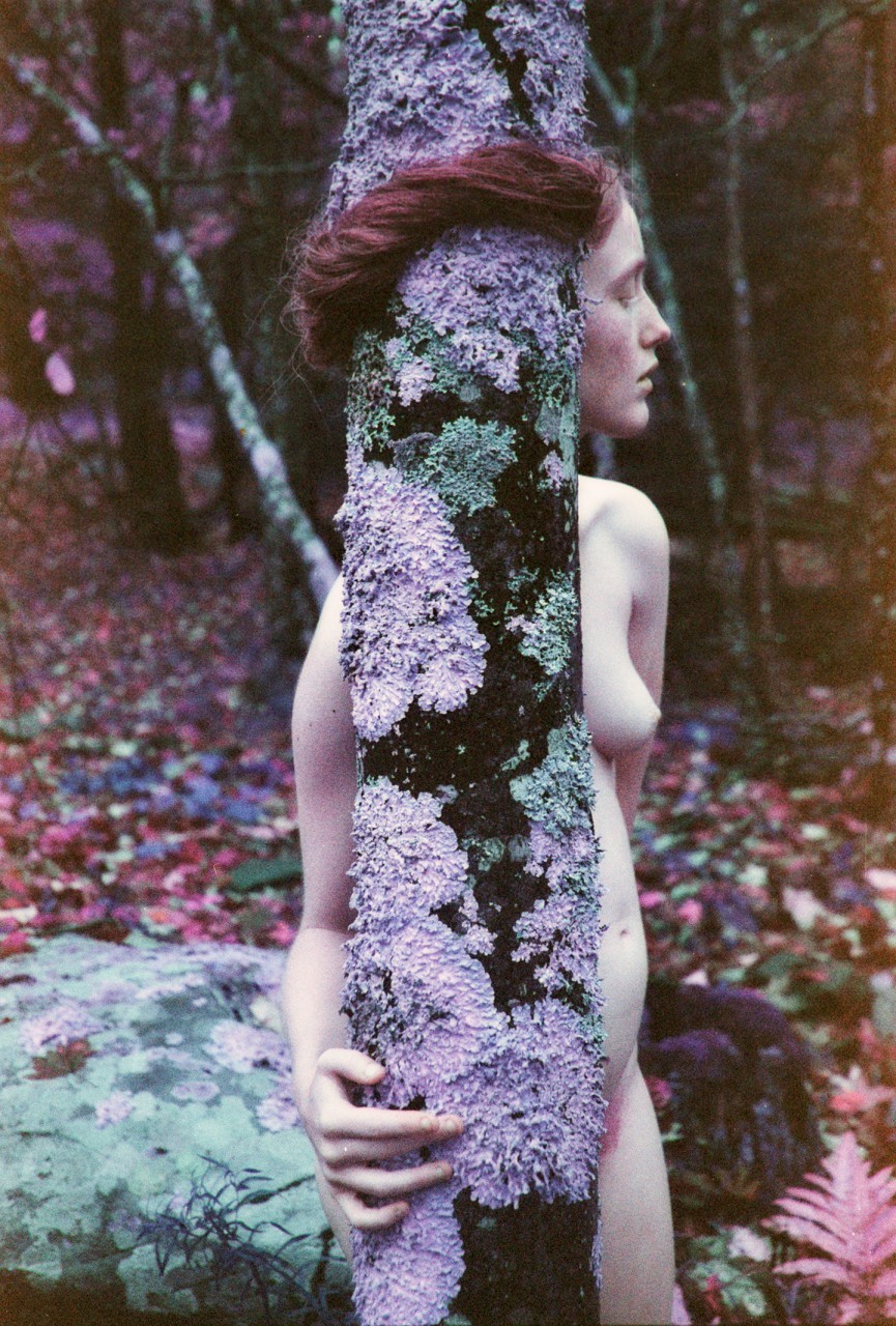 865x1280, 389 Kb / девка, рыжая, дерево, ствол, лишайник, волосы