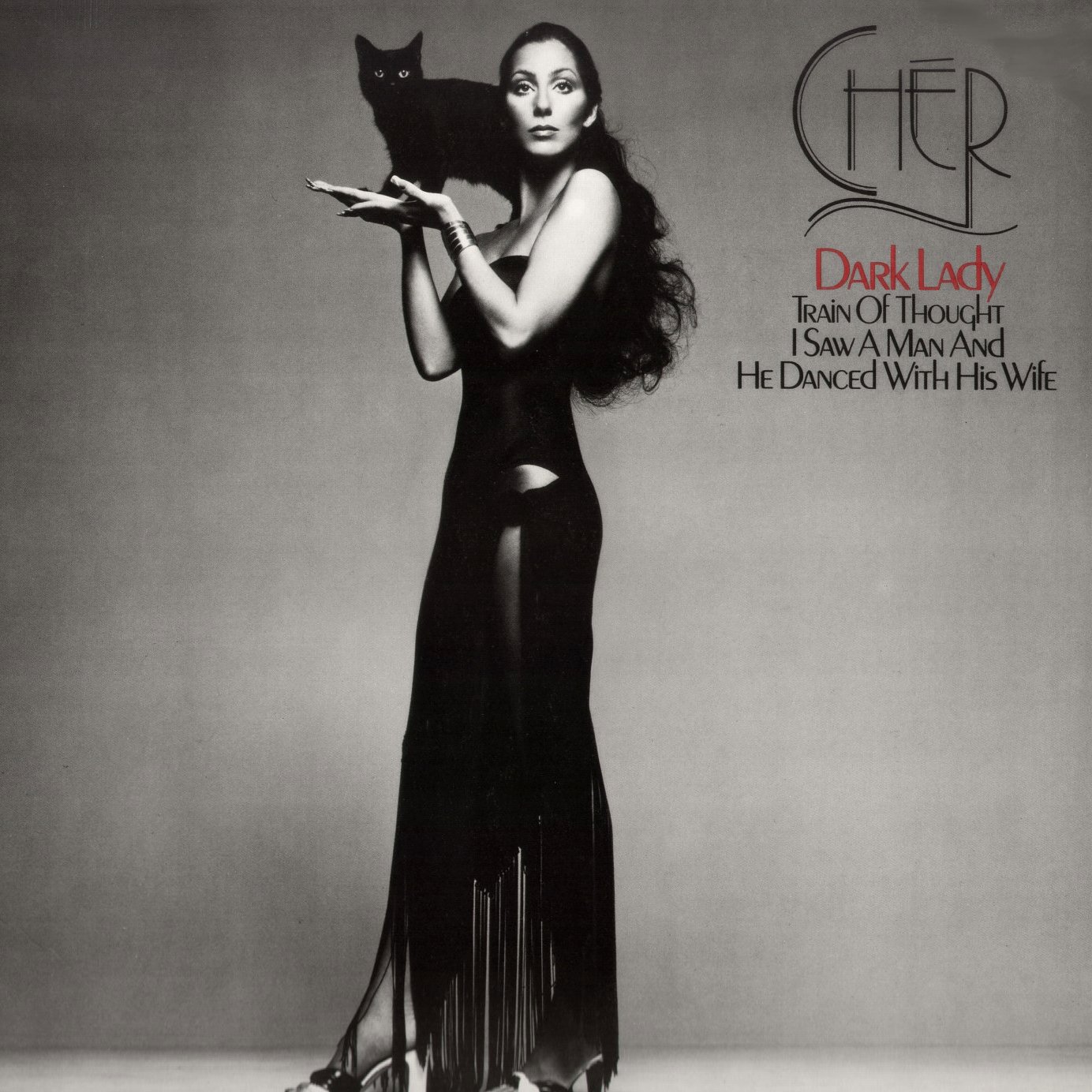 1384x1384, 281 Kb / шер, кошка, обложка, ч/б