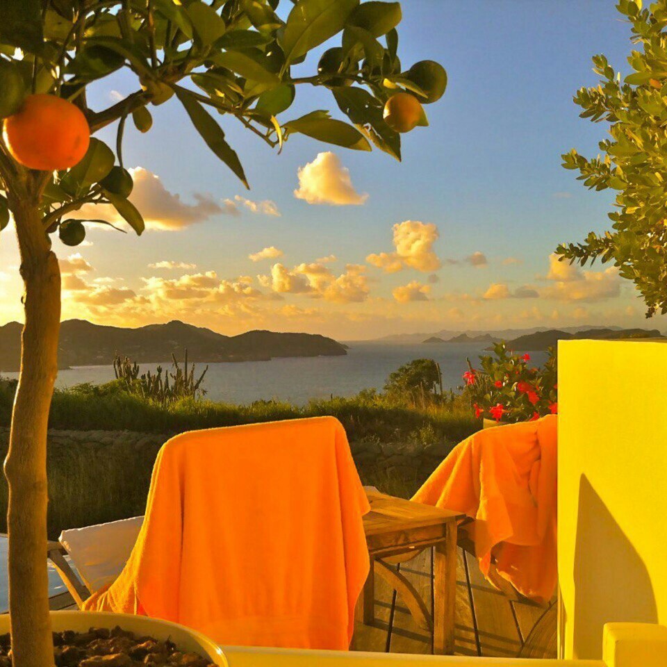 960x960, 199 Kb / небо, дерево, апельсин, воды, травы, кресла, полотенца, оранжевый