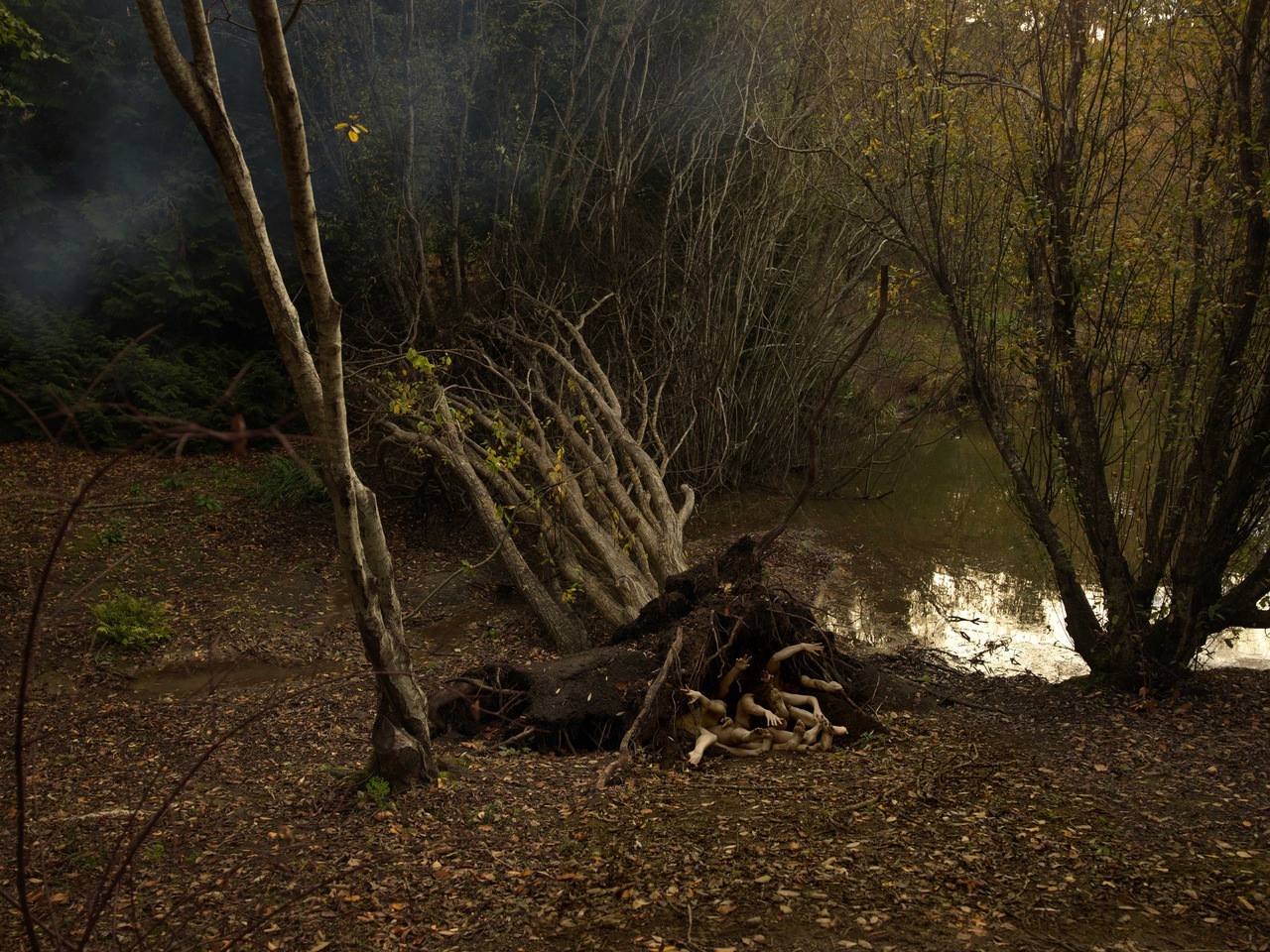 1280x960, 472 Kb / деревья, кусты, вода, коряга, руки, лес